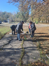 Проведен субботник